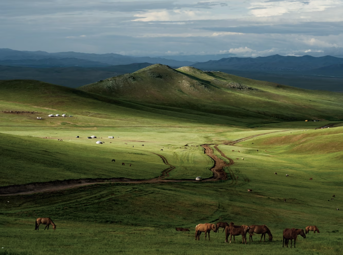 Horses grazing on the Mongolian steppe at dusk, with distant gers and rolling green hills
